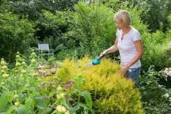 GARDENA Accu Gras- En Buxusschaar Set Accucut Li -Tuingereedschaps Winkel gardena accu gras en buxusschaar set accucut li 1619704816 l