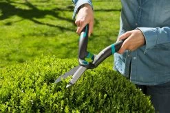 GARDENA PrecisionCut Buxusschaar -Tuingereedschaps Winkel gardena precisioncut buxusschaar 1500x1000 640af7c8df197 l