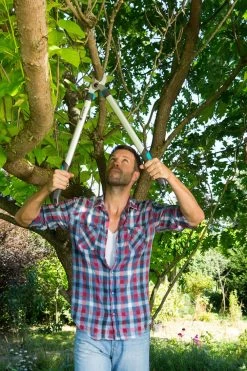 GARDENA Takkenzaag EasyCut 680 B (12003 + 8754 E12) -Tuingereedschaps Winkel gardena takkenschaar easycut 680 b 8754 1000x1500 640af7ec497bd l