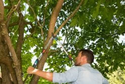 GARDENA Takkenschaar TeleCut Long 650-900 B -Tuingereedschaps Winkel gardena telecut long 650 900b 1500x1001 640af7f15744f l