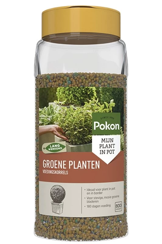 Pokon Groene Planten Voedingskorrels 800g 1 Pokon Groene Planten Voedingskorrels 800g